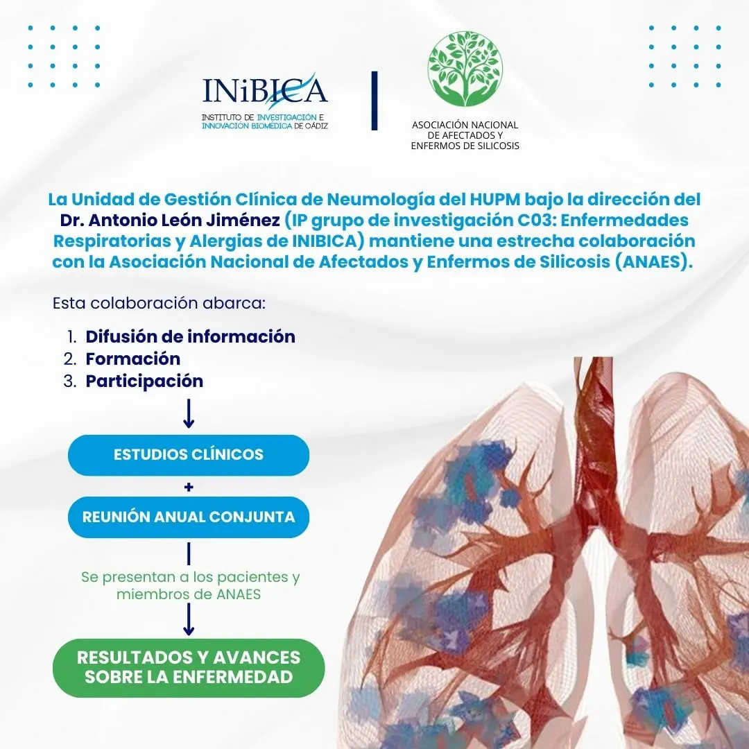 La Unidad de Gestión Clínica de Neumología del HUPM bajo la dirección del Dr. Antonio León Jiménez (IP grupo C03) mantiene una estrecha colaboración con la Asociación Nacional de Afectados y Enfermos de Silicosis (ANAES)